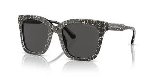 391687 Grey And Black Leopard