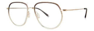 Paradigm Eyeglasses Sunny