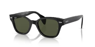 Ray Ban Sunglasses RB0880S
