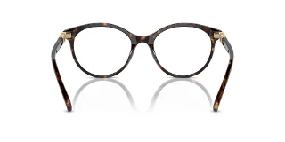 Swarovski Eyeglasses SK2019