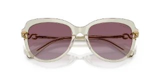 Swarovski Sunglasses SK6073