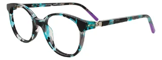 060 Teal Tortoise & Purple
