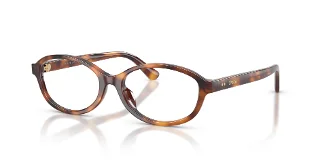 6355 Shiny Tortoise