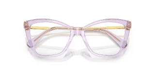 Swarovski Eyeglasses SK2051