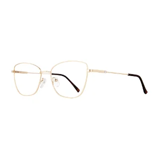 Stylewise Eyeglasses SW460