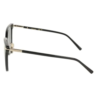 Salvatore Ferragamo Sunglasses SF2037SLB