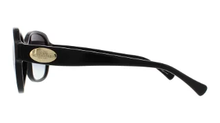 Coach Sunglasses HC8150