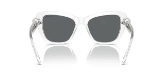 Swarovski Sunglasses SK6018F