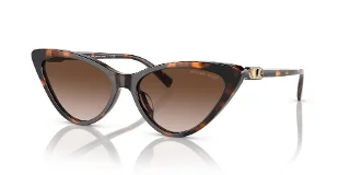300613 Dark Tortoise