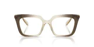 Swarovski Eyeglasses SK2043