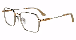 Police Eyeglasses VPLF87