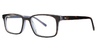 tortoise/blue