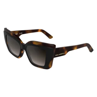017 Black/Tortoise
