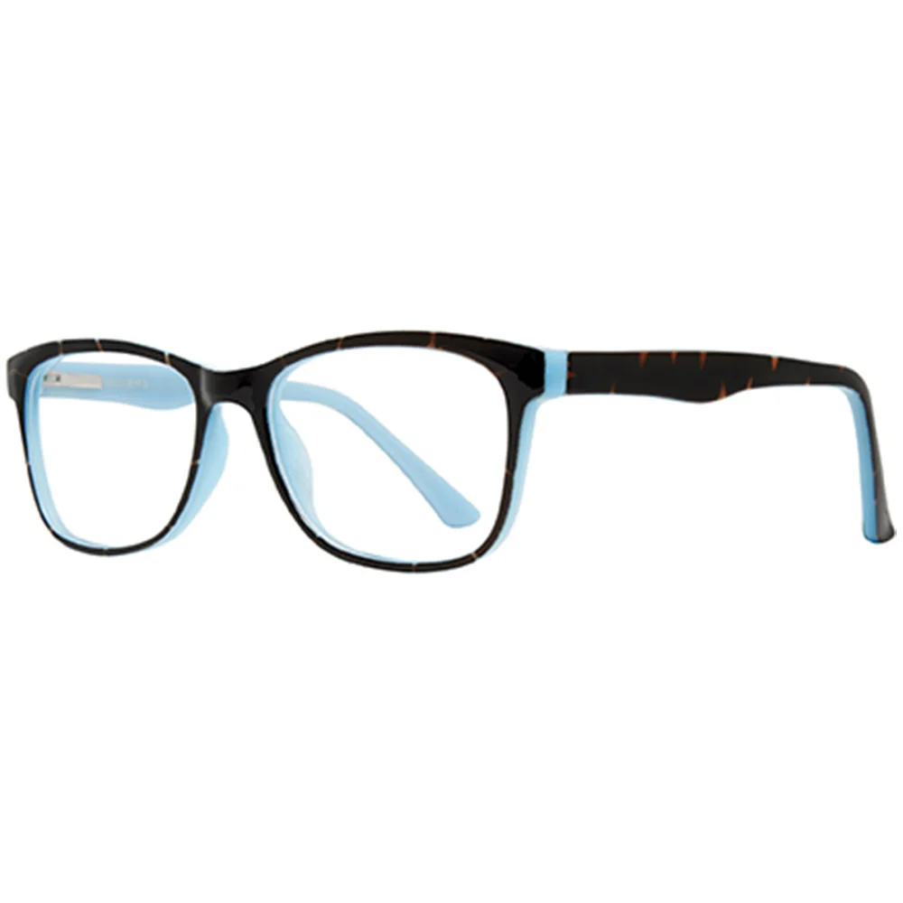 Stylewise Eyeglasses SW450