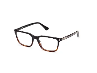 Web Eyeglasses WE5391