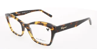 219 Dark Tortoise