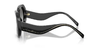 Giorgio Armani Sunglasses AR8248