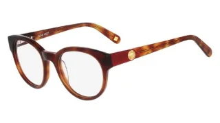 233 Honey Tortoise