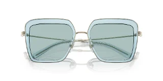 Tory Burch Sunglasses TY6099