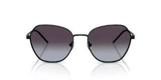 Emporio Armani Sunglasses EA2161