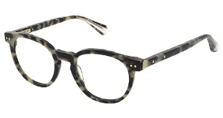 921-Als-1013 Ellis Snow Leopard