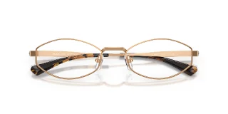 Michael Kors Sunglasses MK1175