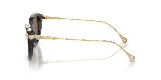 Swarovski Sunglasses SK6010