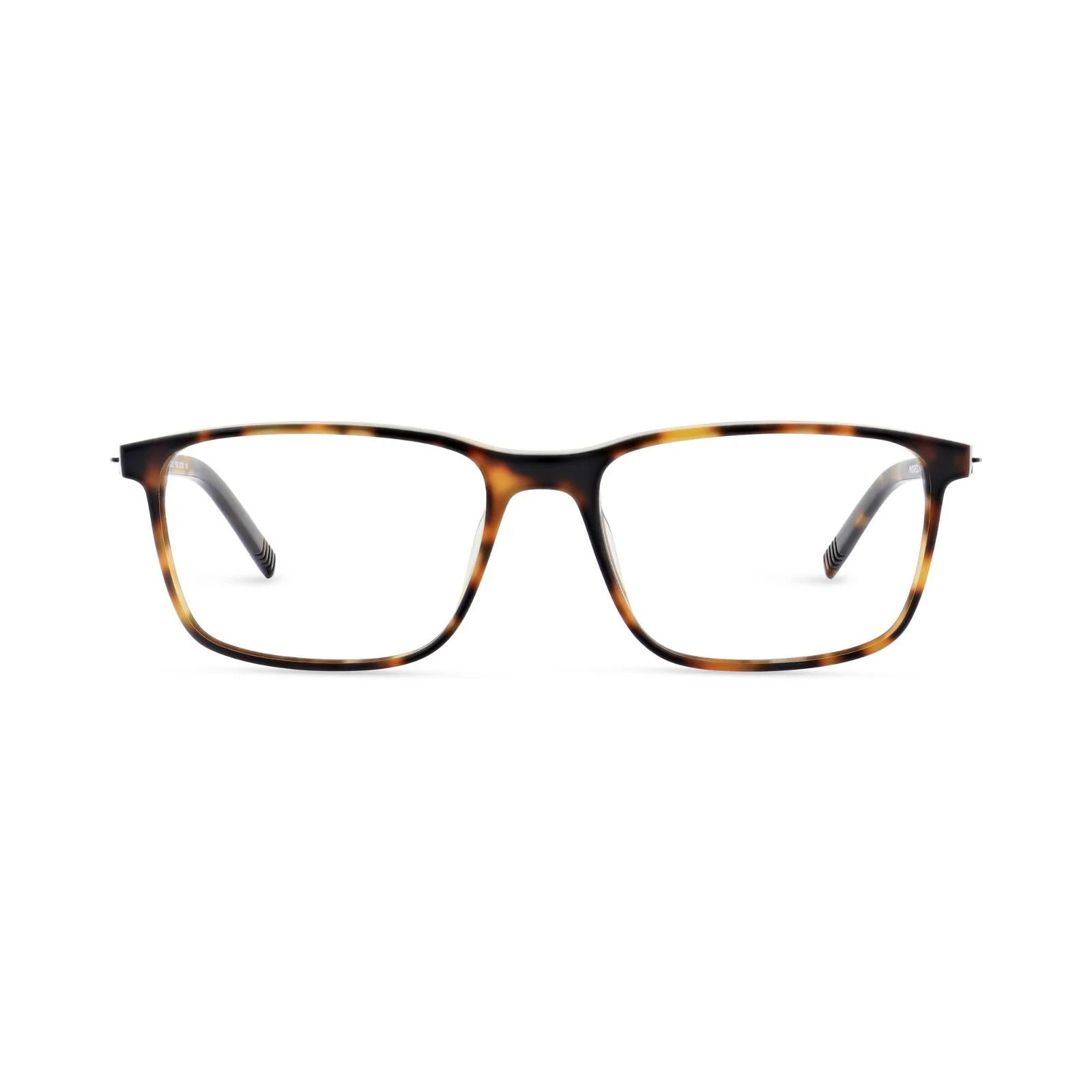 Morel Eyeglasses BLAZE 2