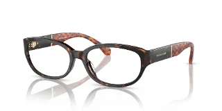 3006 Dark Tortoise