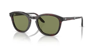 Giorgio Armani Sunglasses AR8170