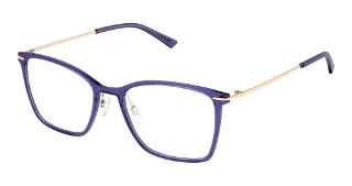 S301-Slta-0031 Blueberry Gold