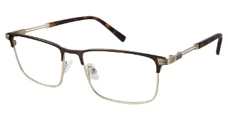 C02 Brown Gold Tort