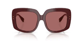 Dolce & Gabbana Sunglasses DG4557
