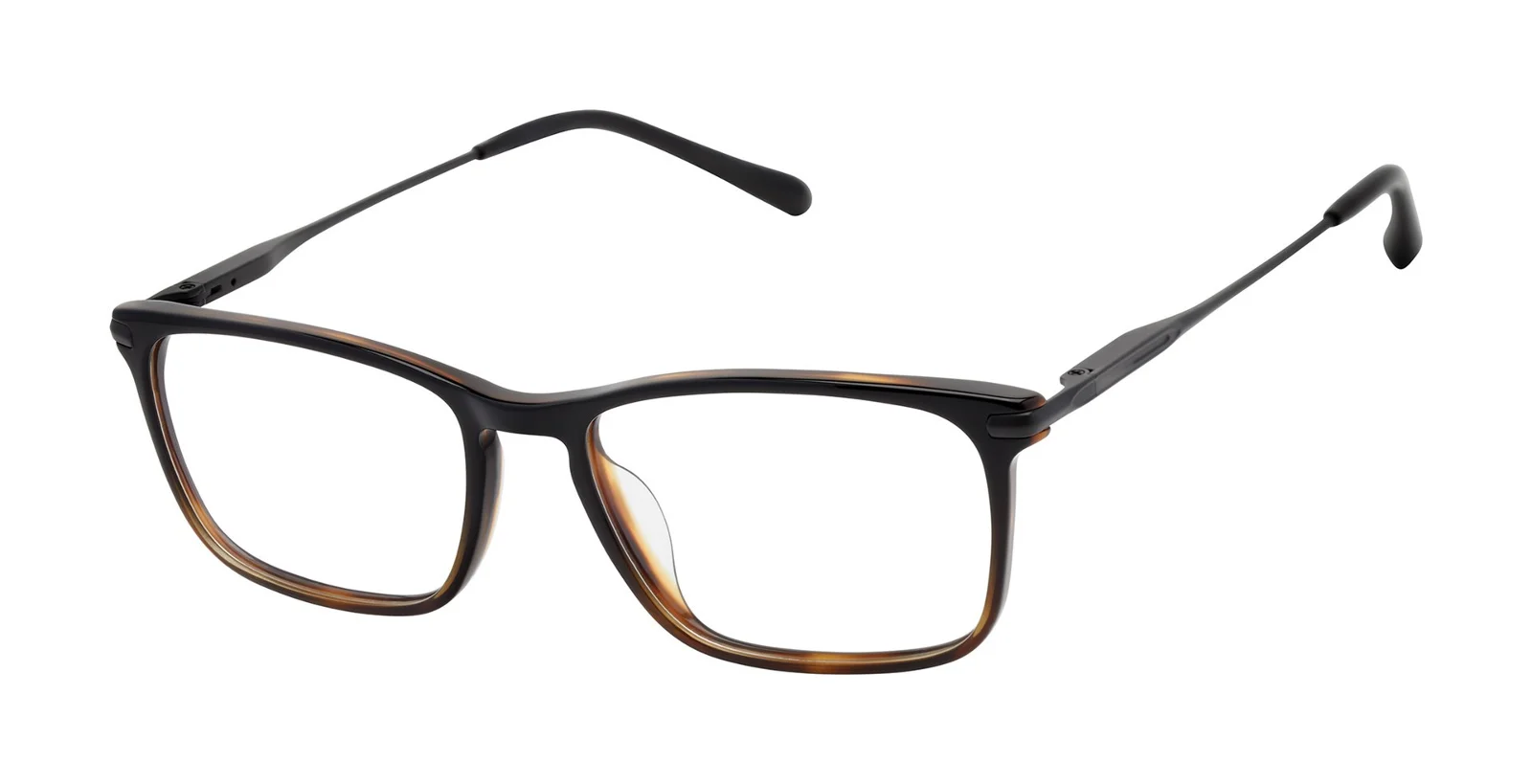 Barbour Eyeglasses BAOM018