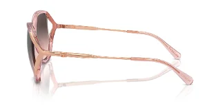 Coach Sunglasses HC8396U
