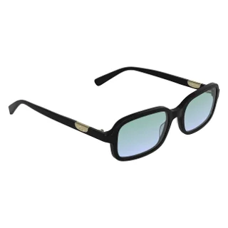 Longchamp Sunglasses LO818S