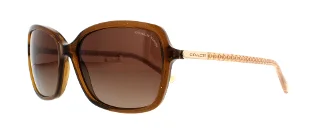 Coach Sunglasses HC8152 L136