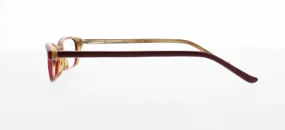 Polo Eyeglasses PP8501