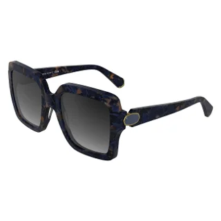 434 Blue Brown Tortoise