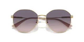 Jimmy Choo Sunglasses JC4007BD