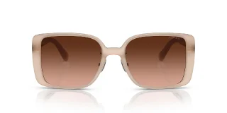 Coach Sunglasses HC8375