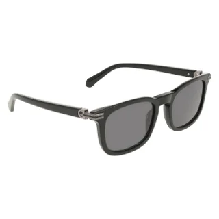 Salvatore Ferragamo Sunglasses SF2120S