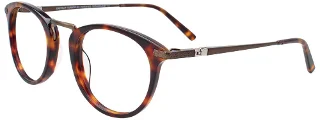 Easyclip Eyeglasses EC485