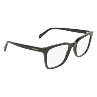 Salvatore Ferragamo Eyeglasses SF3067