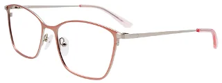 Easyclip Eyeglasses EC532