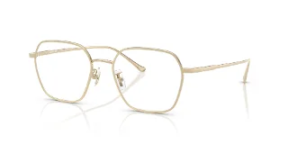 9005 Shiny Light Gold