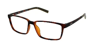 Tortoise