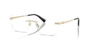 9005 Shiny Light Gold