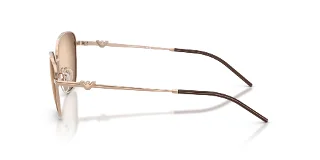Emporio Armani Sunglasses EA2170