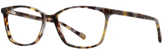 C06 Stone Tortoise